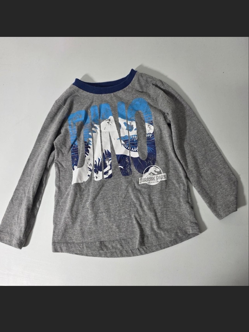 Jurassic Park Boys' Gray Long-Sleeve Dino Graphic Tee
